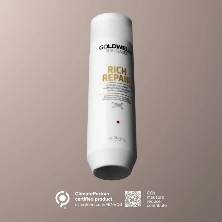 Dualsenses Rich Repair Shampoo 250 ml