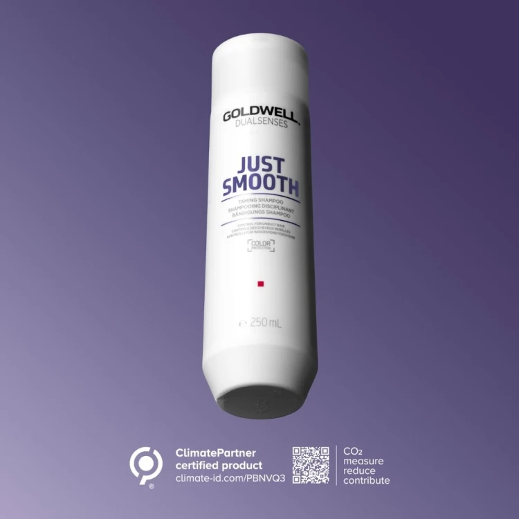 Dualsenses Just Smooth Shampoo 250 ml