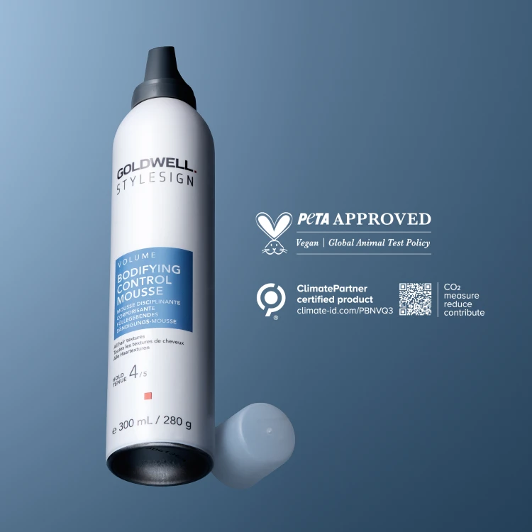 StyleSign Volume Bodifying Control Mousse 300 ml