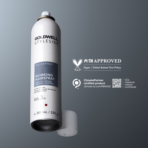 StyleSign Working Hairspray 300 ml