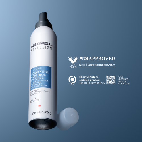 StyleSign Volume Bodifying Control Mousse 500 ml